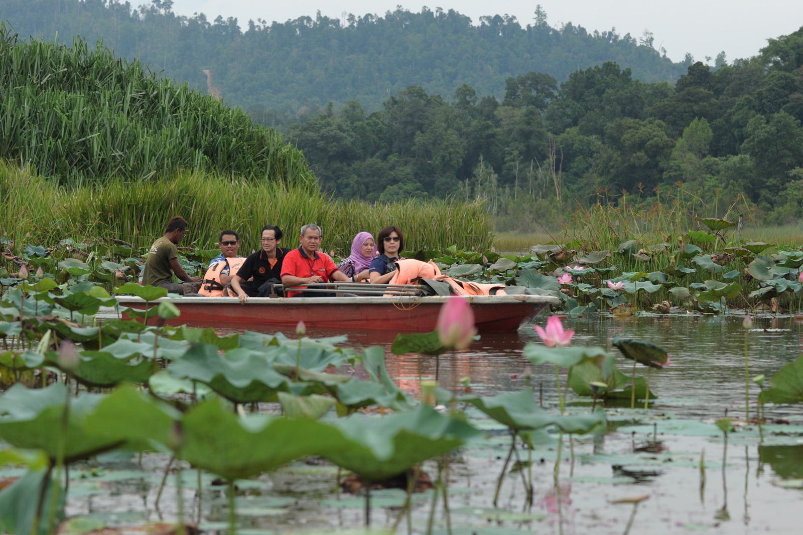Gambar Tasik Chini