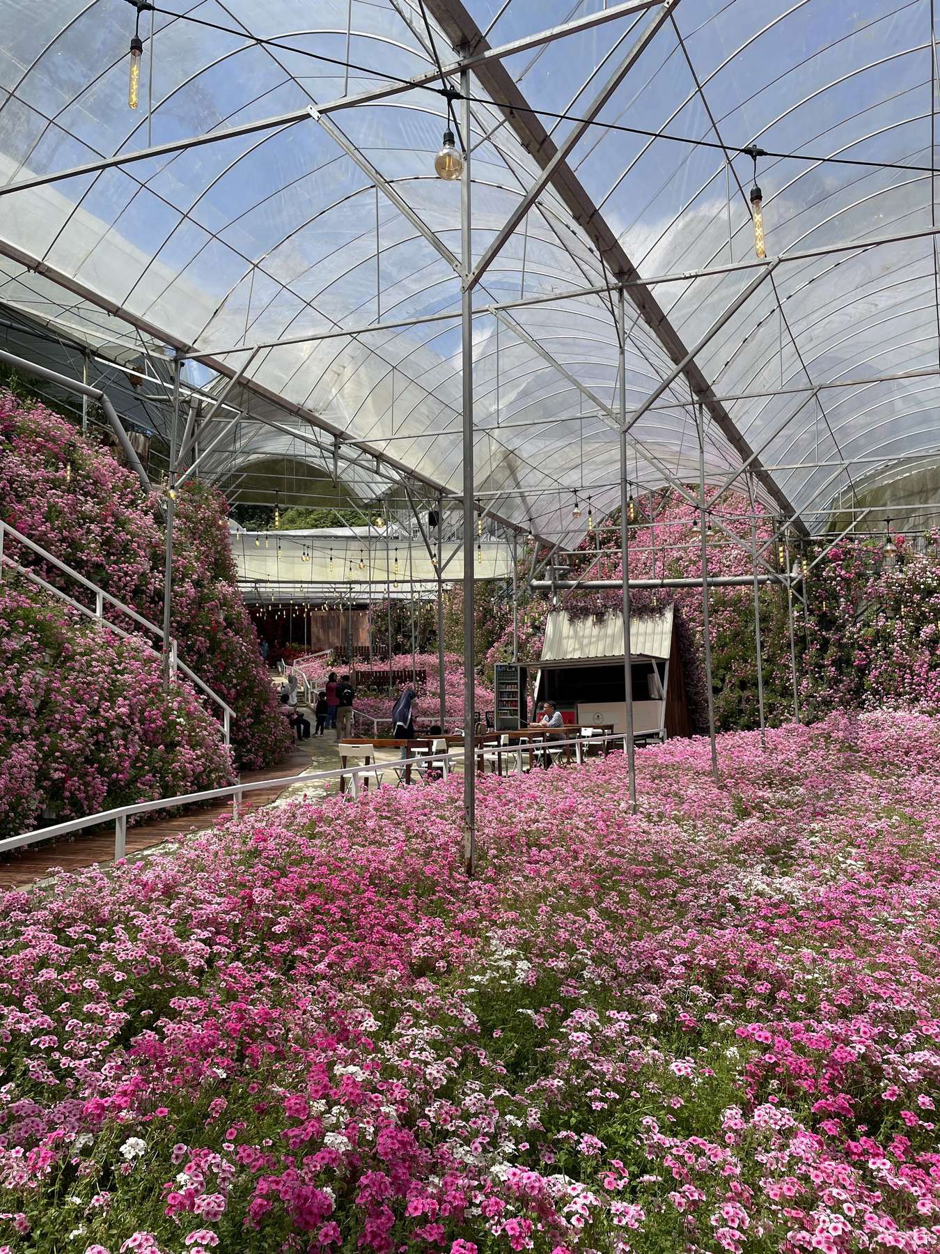 Gambar Cameron Flora Park