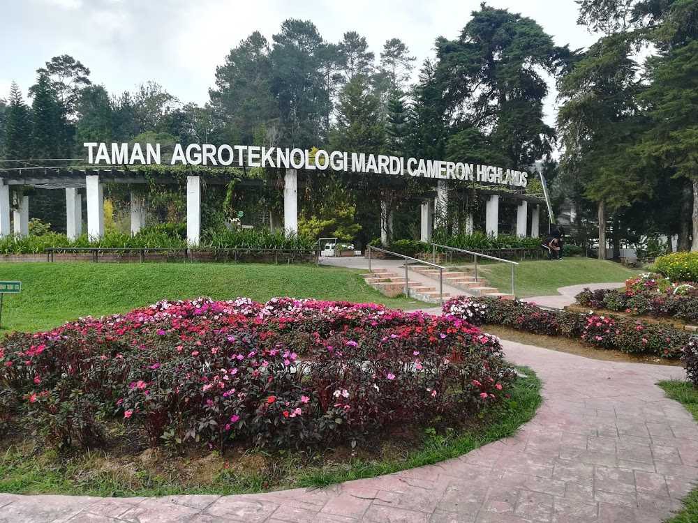 Gambar Taman Agroteknologi MARDI Cameron Highlands