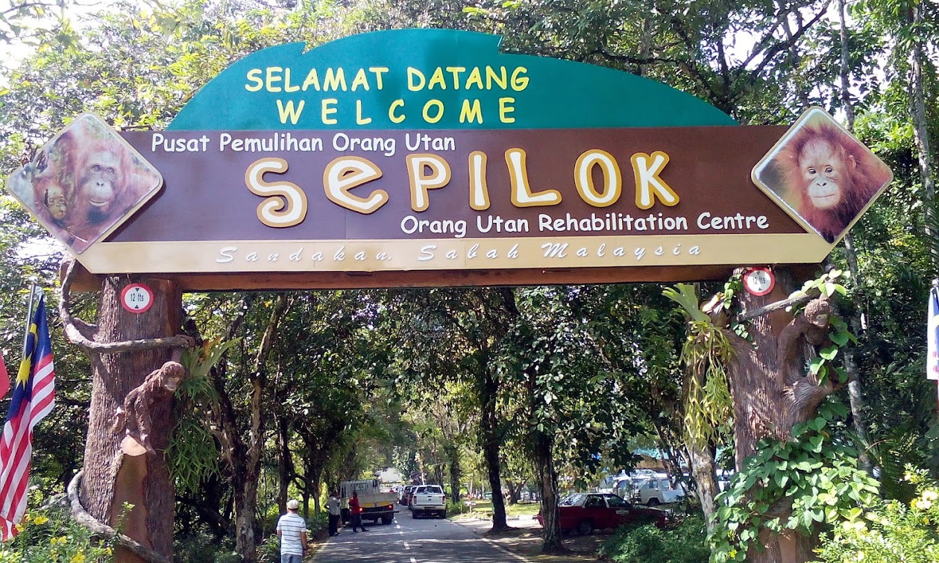 Gambar Pusat Pemuliharaan Orang Utan Sepilok