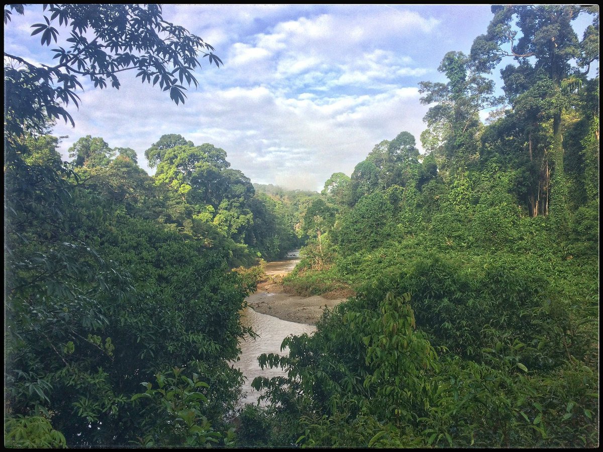 Gambar Danum Valley Conservation Area