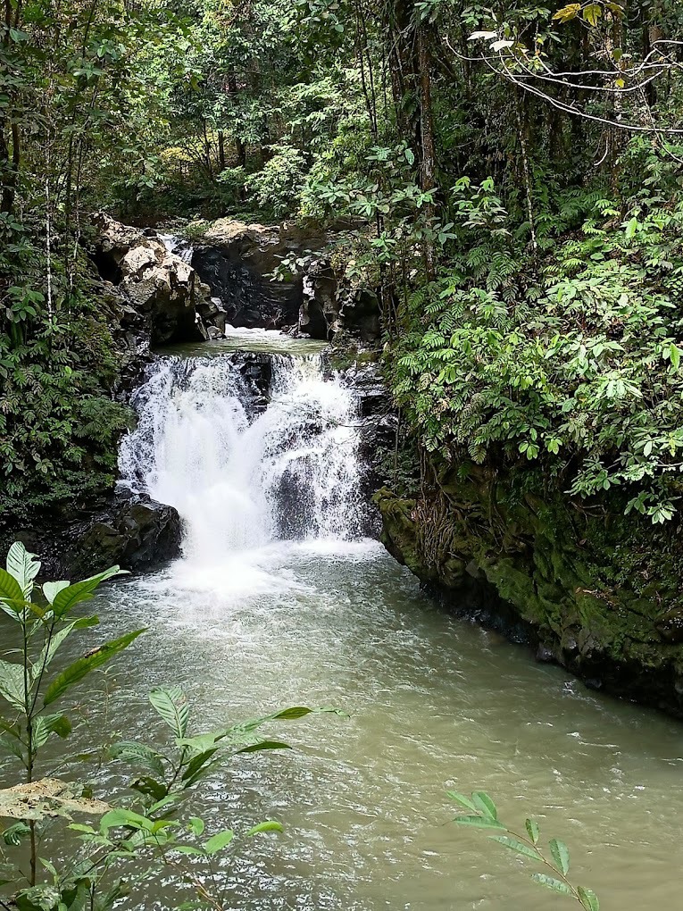Gambar Taman Bukit Tawau