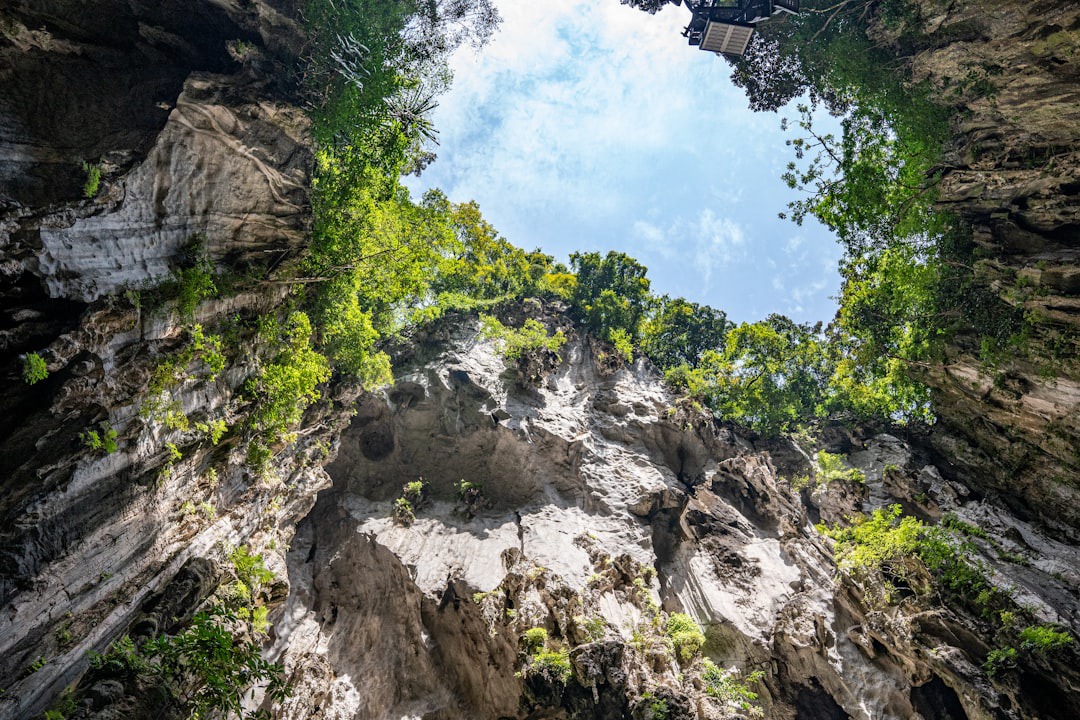 Gambar Wind Cave Nature Reserve