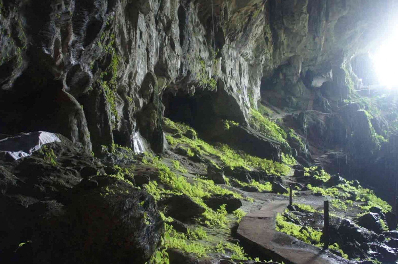 Gambar Fairy Cave Nature Reserve