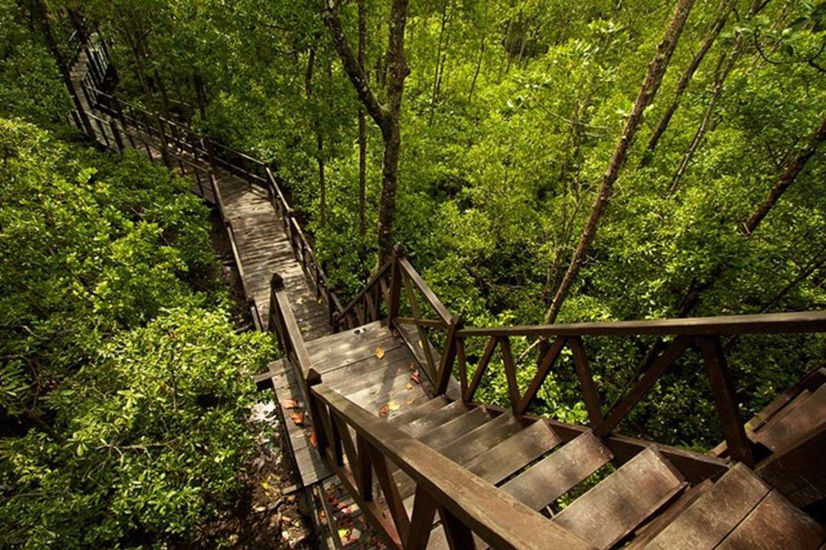 Gambar Taman Negara Tanjung Datu