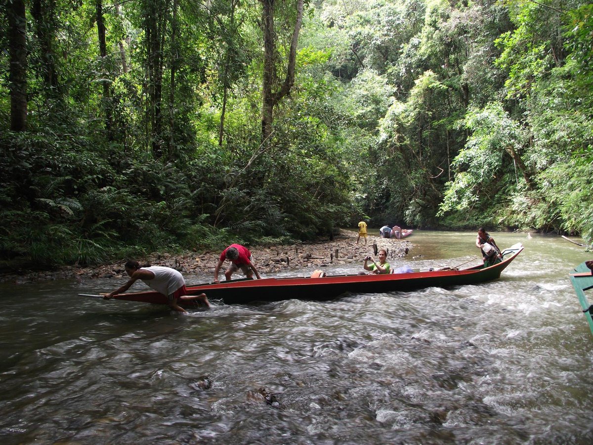 Gambar Batang Ai National Park