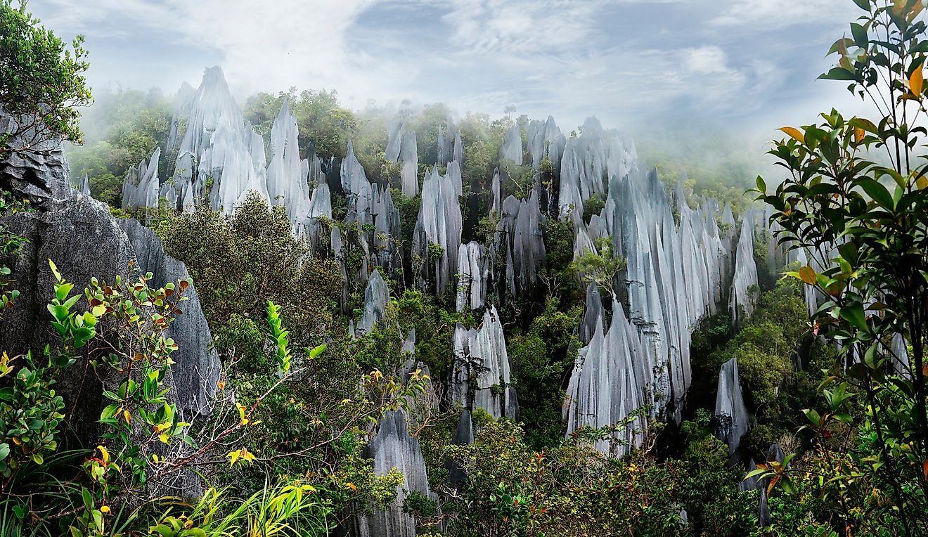 Gambar Gunung Mulu National Park