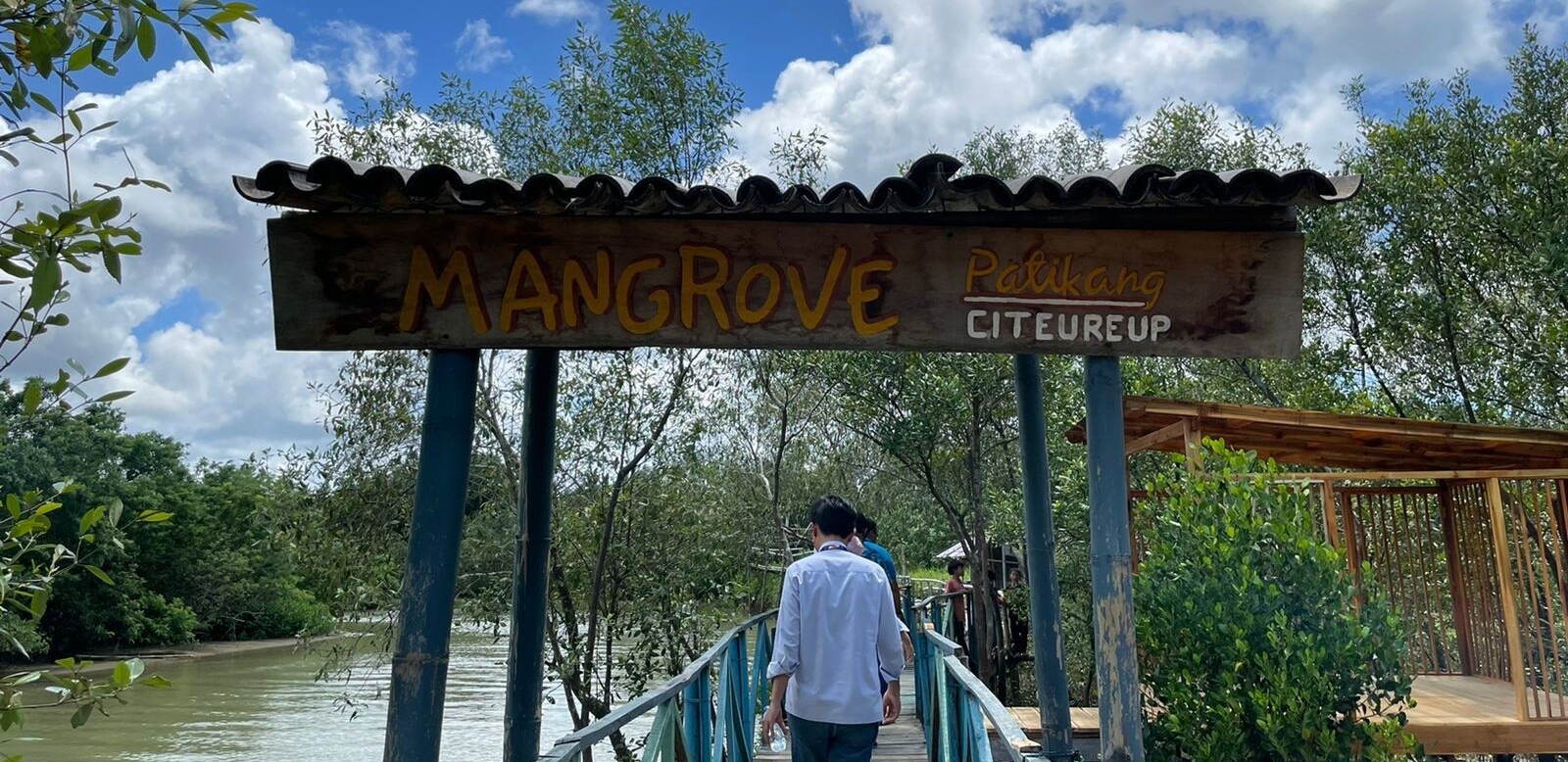 Gambar Taman Ekologi Hutan Paya Bakau Kinabenuwa