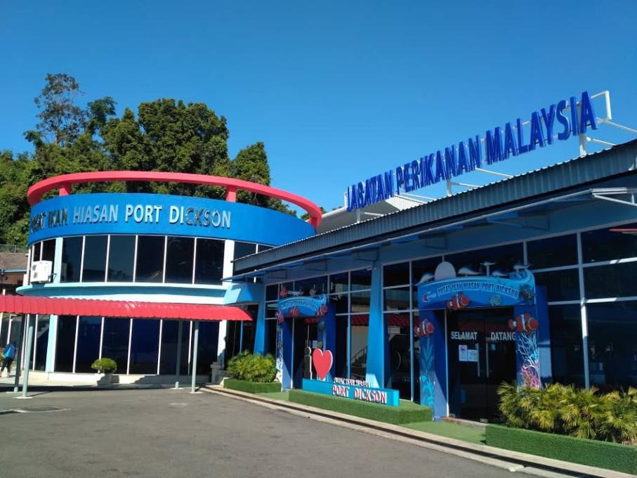 Gambar Pusat Ikan Hiasan Port Dickson