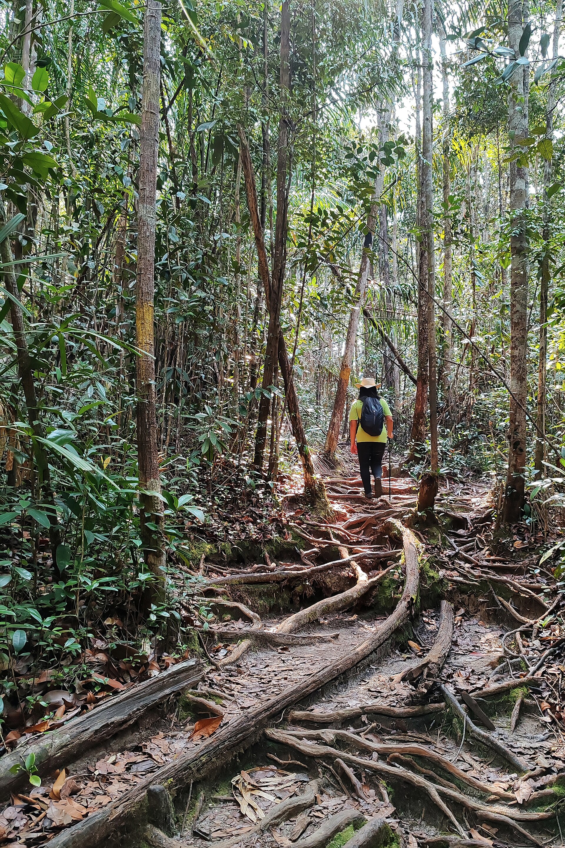 Landskap Taman Negara Bako
